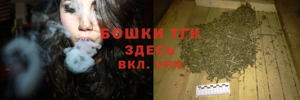 прущие грибы Балабаново