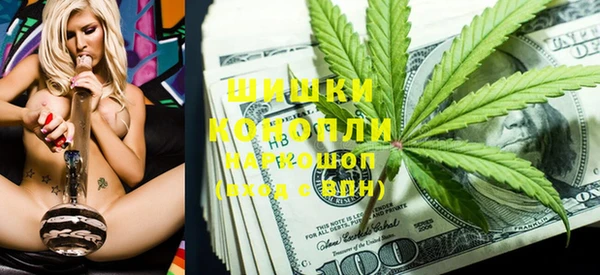 прущие грибы Балабаново