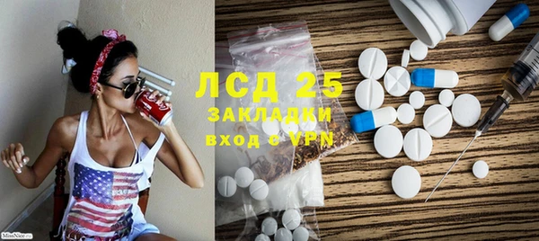 прущие грибы Балабаново