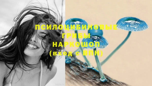 прущие грибы Балабаново