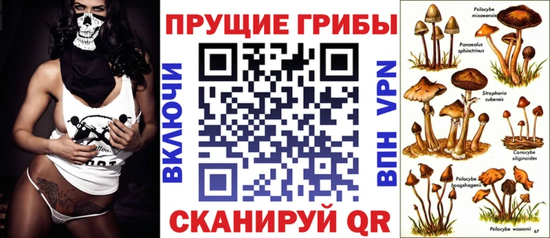Галлюциногенные грибы Cubensis  Ульяновск 